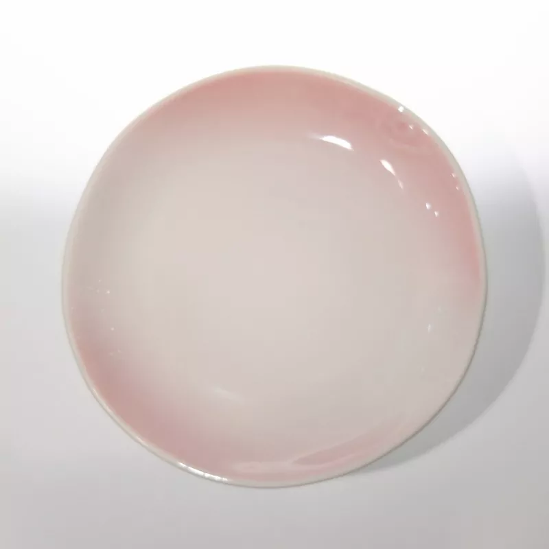 Minimalistisk rund Ombre keramisk mini tallrik